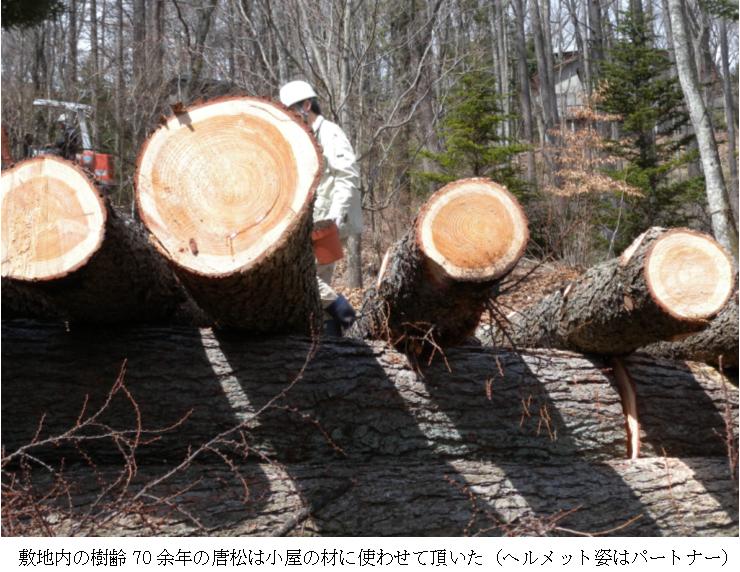 70歳もの木を切ることは、木の命を材として活かしきる覚悟が必要です