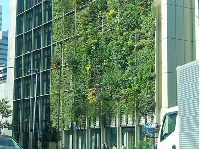 東京駅近くのビル壁面緑化