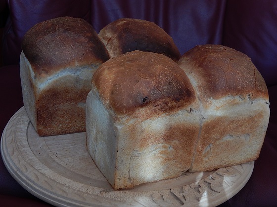 今週のパンは寒いため発酵が弱め