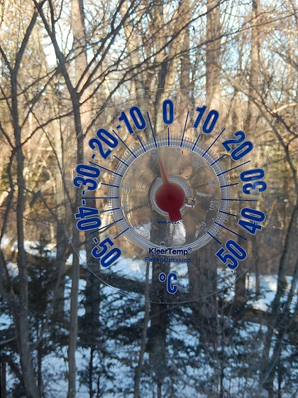 真冬のソフィアート・ガーデン（2015年1月3日15時）気温氷点下5℃