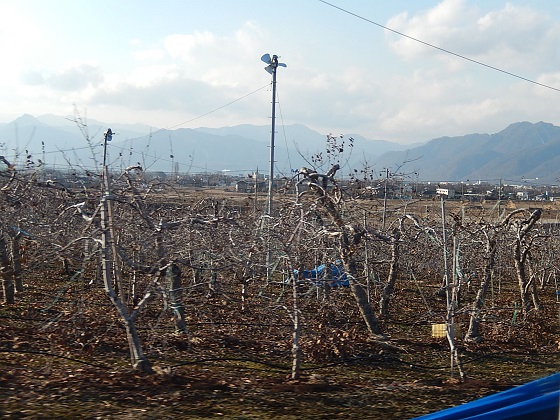 国道18号の東御から上田方面のリンゴ畑