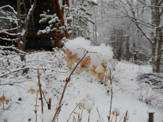 ソフィアート・ガーデンの雪景色