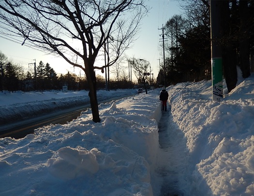 国道18号マツヤ付近は有志による雪かきで約50cm幅の歩道も開通（2/17夕方）