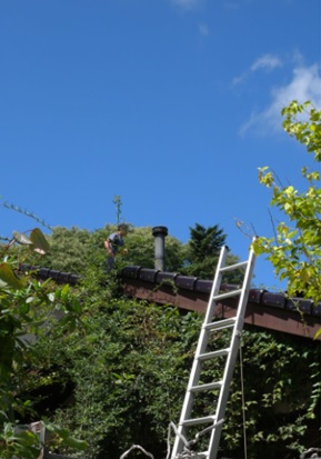 晴天の煙突掃除（2階建ての屋根は8メートルの高所！）