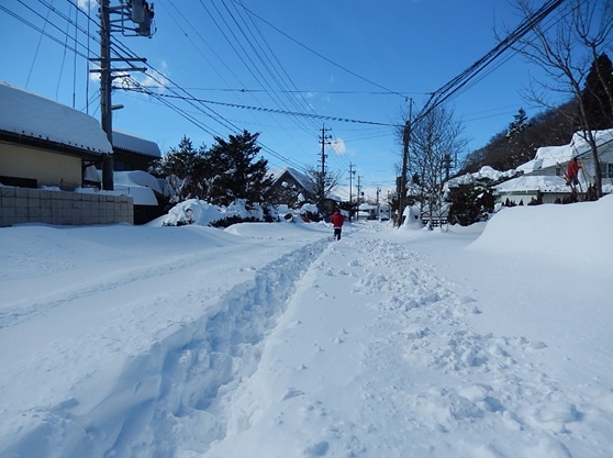 離山通りは除雪できず未開通（2/15昼）