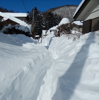 自宅前の道は近所の方が除雪機で歩行道を作ってくれた（2/16昼）