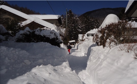 自宅前の道は近所の方が除雪機で歩行道を作ってくれた（2/16昼）