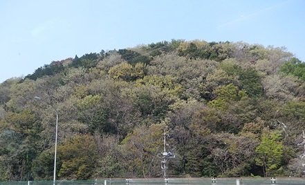 名神高速沿いの森林は新緑と春紅葉