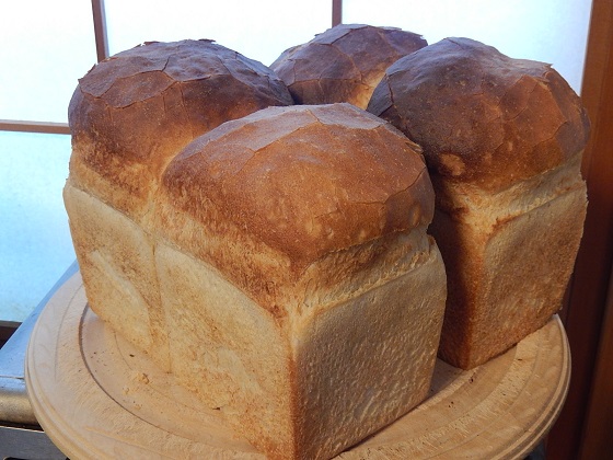 気温が高いとパンがよく発酵する