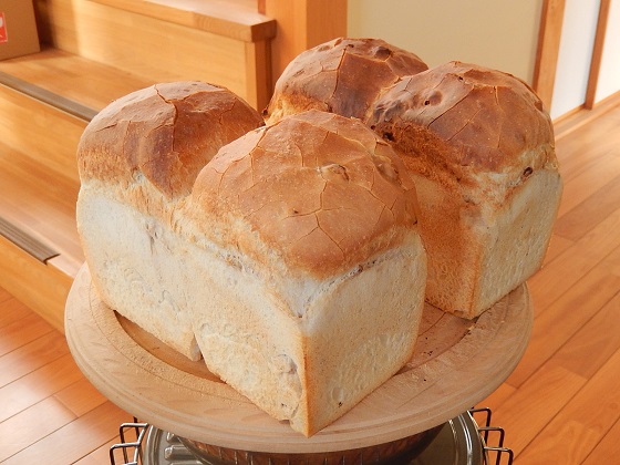 ２月の自家製パン